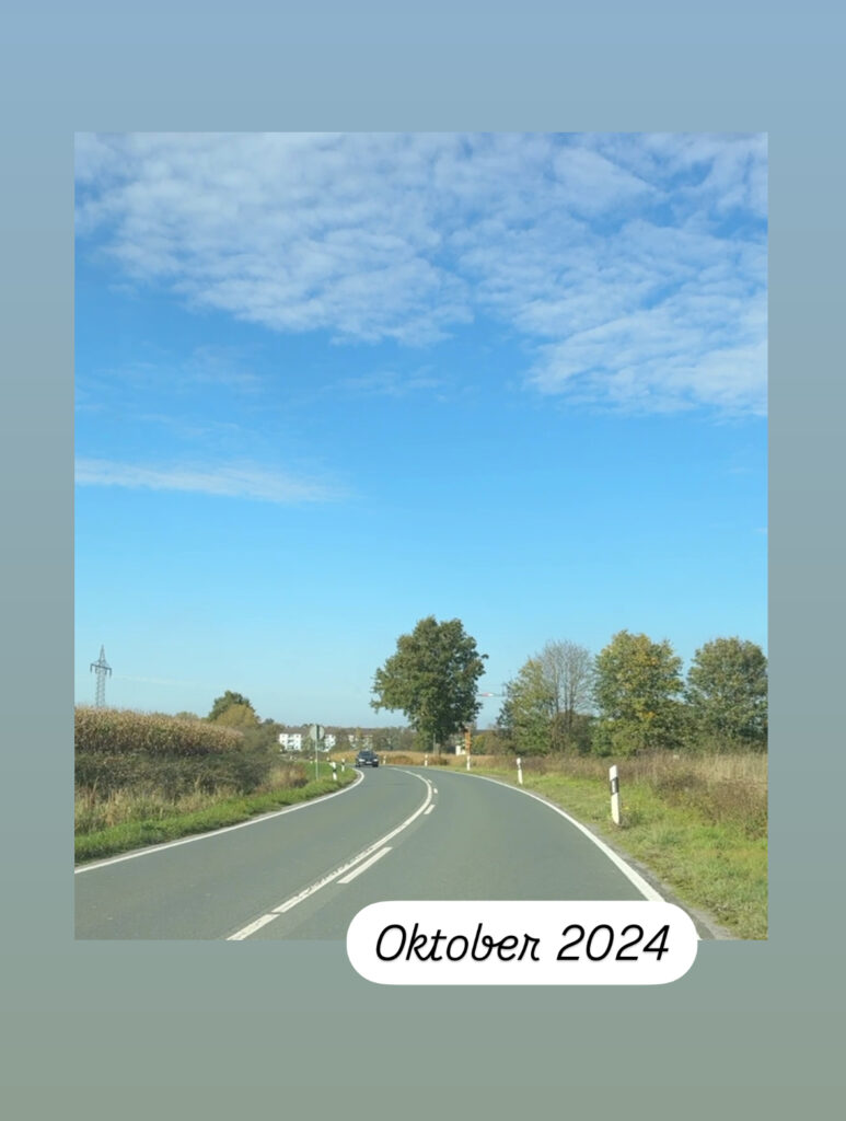 Bildbeschreibung: Blick aus dem Auto in die Landschaft des Münsterlandes 